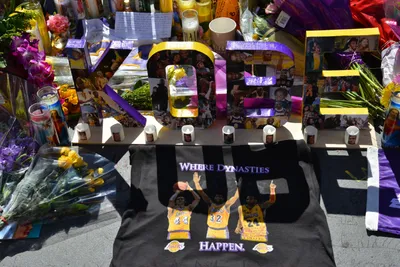 DSC_7125 (Large).JPG